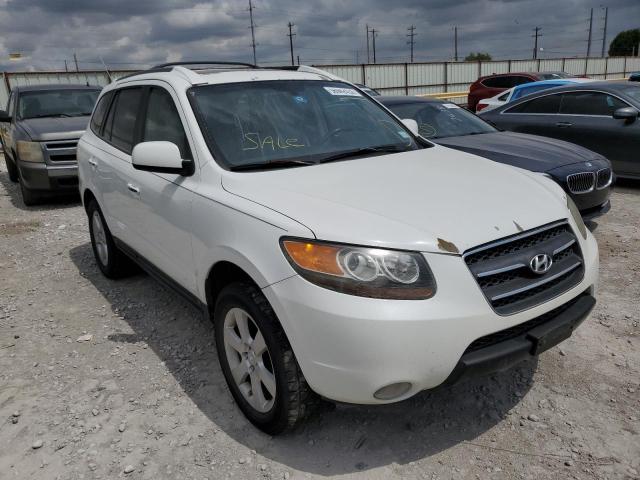 5NMSH13E07H042158 - 2007 HYUNDAI SANTA FE SE  photo 1