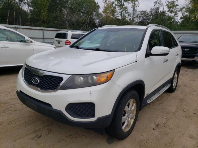 5XYKTDA24CG226483 - 2012 KIA SORENTO BA WHITE photo 2