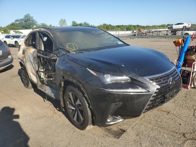 JTJBARBZ3J2178476 - 2018 LEXUS NX 300 BAS BLACK photo 1