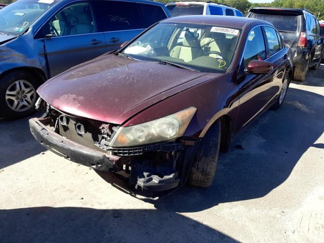 1HGCP26469A031101 - 2009 HONDA ACCORD LXP BURGUNDY photo 2