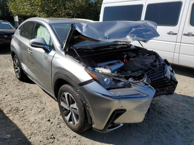 JTJGJRDZ4L2130989 - 2020 LEXUS NX 300H CREAM photo 1