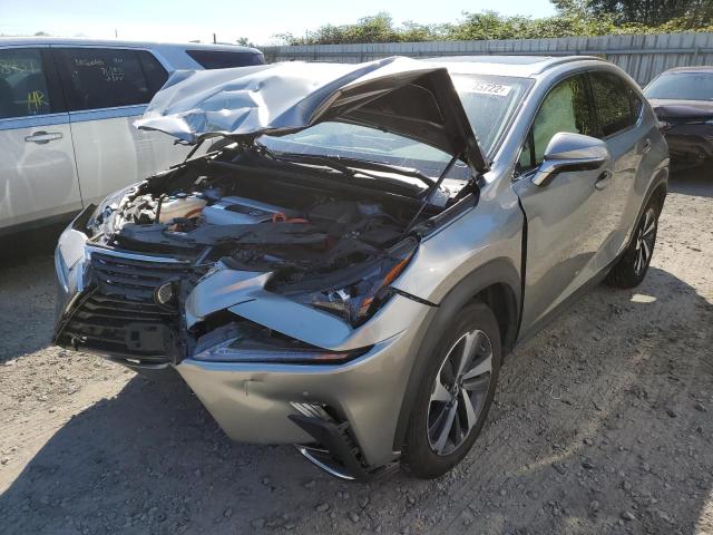 JTJGJRDZ4L2130989 - 2020 LEXUS NX 300H CREAM photo 2