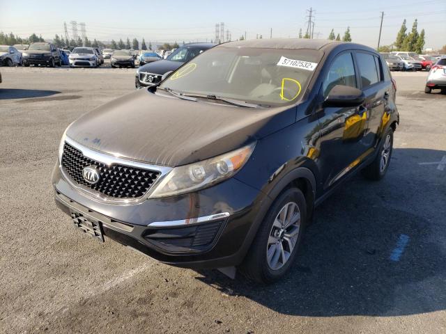 KNDPB3AC5E7579519 - 2014 KIA SPORTAGE B BLACK photo 2