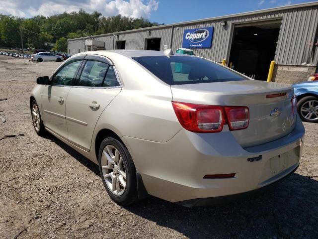 1G11C5SL5EF182338 - 2014 CHEVROLET MALIBU 1LT ბეჟი ფოტო 3