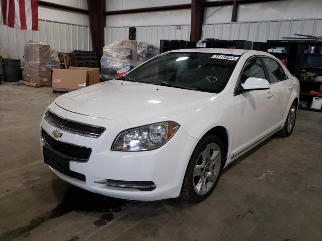 1G1ZH57B794151551 - 2009 CHEVROLET MALIBU 1LT თეთრი ფოტო 2