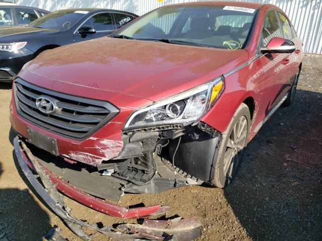 5NPE34AF8GH280691 - 2016 HYUNDAI SONATA SPO RED photo 2