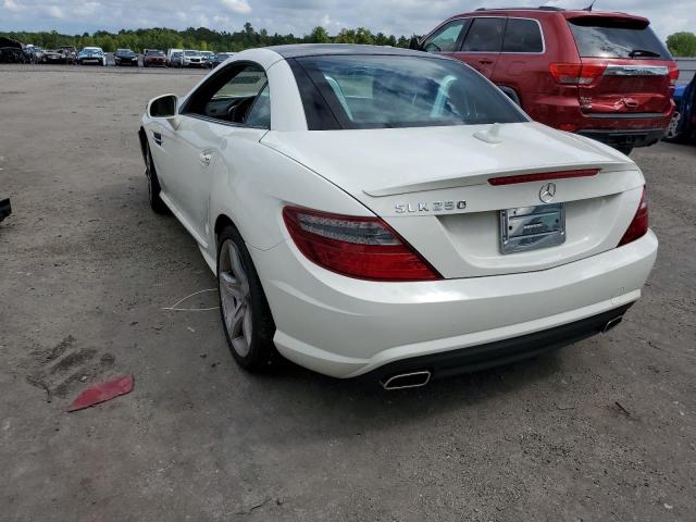 WDDPK4HA3DF058271 - 2013 MERCEDES-BENZ SLK 250 WHITE photo 3