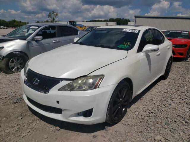 JTHBF5C21A2099935 - 2010 LEXUS IS 250 WHITE photo 2