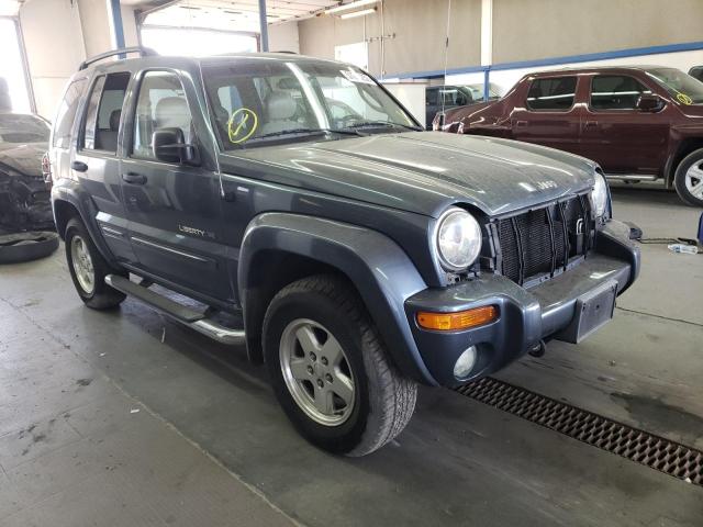 1J8GL58K32W298450 - 2002 JEEP LIBERTY BLUE photo 1