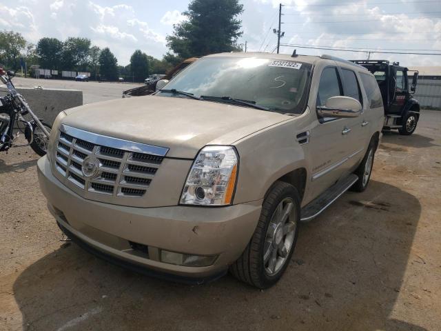 1GYFK66898R245031 - 2008 CADILLAC ESCALADE E BEIGE photo 2