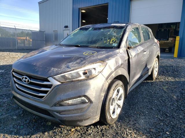 KM8J23A45HU565359 - 2017 HYUNDAI TUCSON SE GRAY photo 2