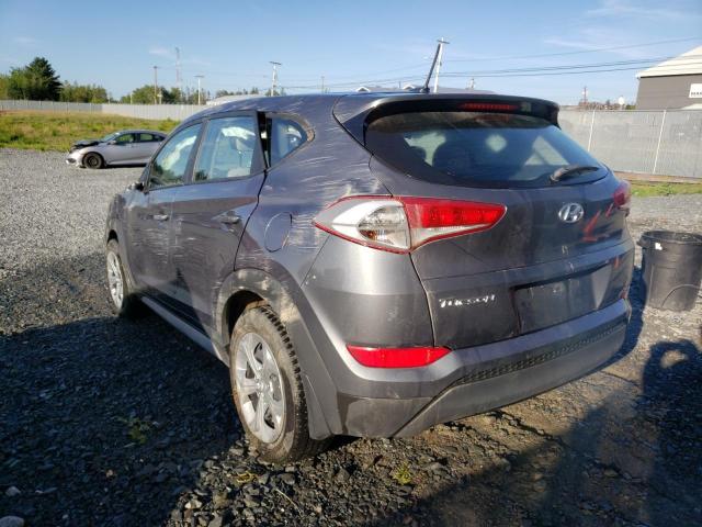 KM8J23A45HU565359 - 2017 HYUNDAI TUCSON SE GRAY photo 3