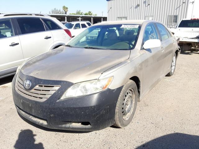 4T4BE46K49R081506 - 2009 TOYOTA CAMRY BASE TAN photo 2