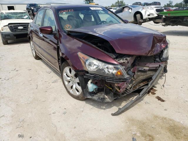 1HGCP36838A013632 - 2008 HONDA ACCORD EXL MAROON photo 9