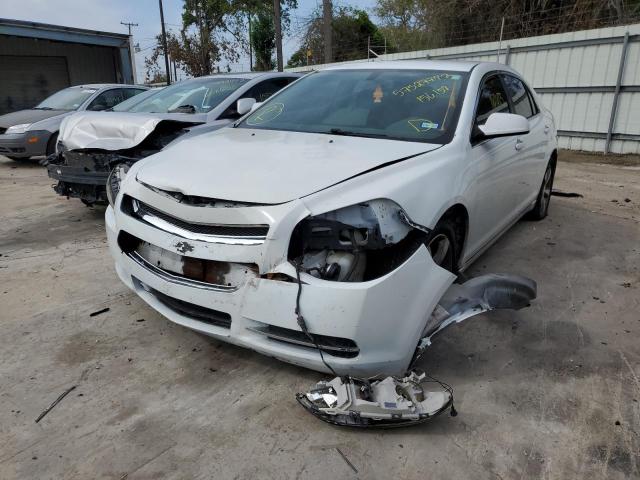 1G1ZC5E14BF156158 - 2011 CHEVROLET MALIBU 1LT თეთრი ფოტო 2