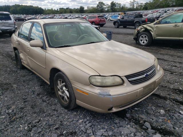 1G1NE52JX3M560074 - 2003 CHEVROLET MALIBU LS GOLD photo 1