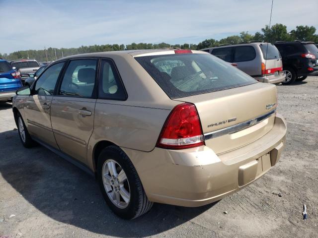 1G1ZT62844F221570 - 2004 CHEVROLET MALIBU MAX GOLD photo 3