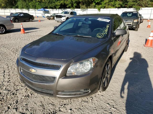 1G1ZC5EU0CF346213 - 2012 CHEVROLET MALIBU 1LT ყავისფერი ფოტო 2