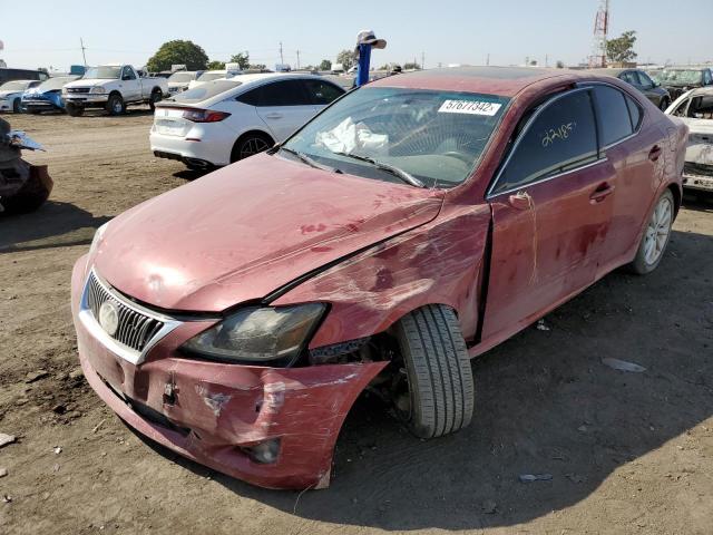 JTHBK262395088404 - 2009 LEXUS IS 250 BURGUNDY photo 2