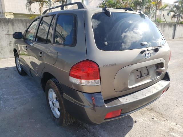 KM8SC13D75U908896 - 2005 HYUNDAI SANTA FE G TAN photo 3