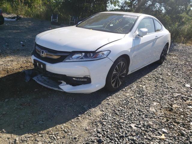 1HGCT2B84GA007090 - 2016 HONDA ACCORD EXL WHITE photo 2