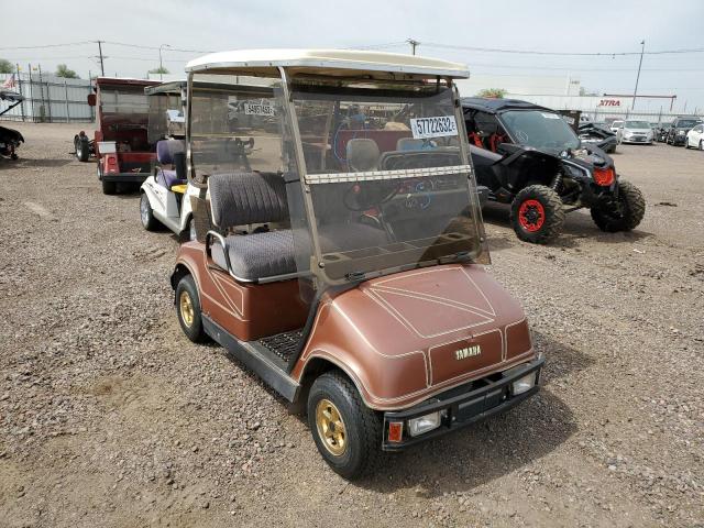 JF2102217 - 1991 YAMAHA GOLF CART BROWN photo 1