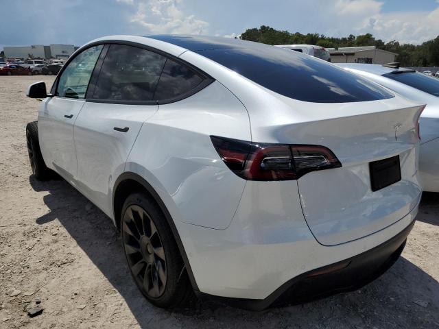 5YJYGDEE3MF250365 - 2021 TESLA MODEL Y WHITE photo 3