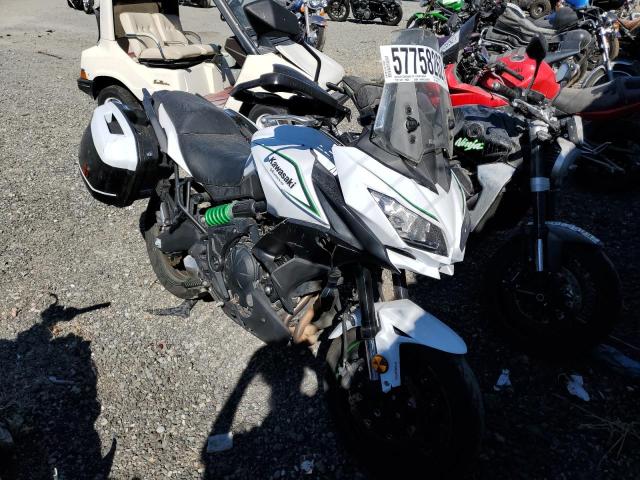 JKALEEF19JDA25630 - 2018 KAWASAKI KLE650 F WHITE photo 1