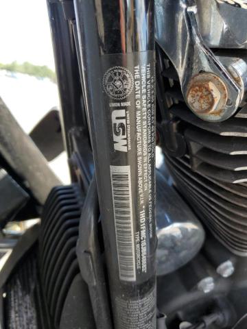 1HD1FMC10JB648683 - 2018 HARLEY-DAVIDSON FLHTP POLI ორფეროვანი ფოტო 10