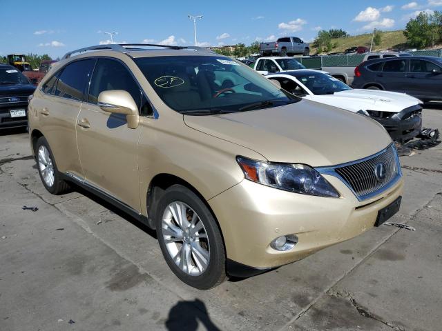 JTJBC1BA1A2010700 - 2010 LEXUS RX 450 GOLD photo 1