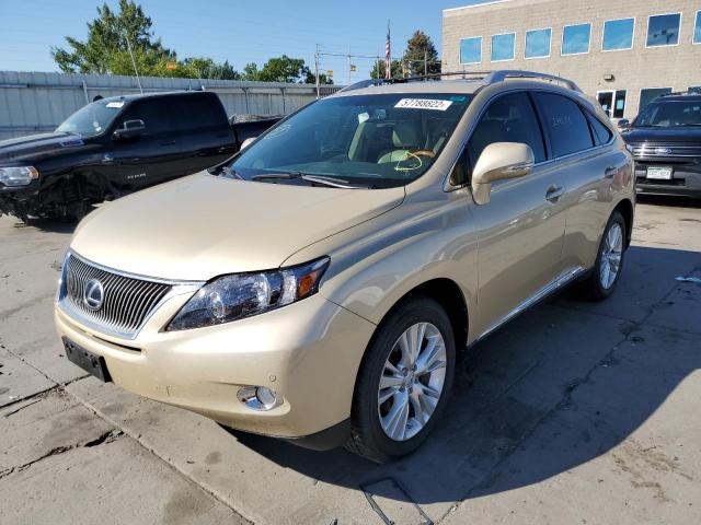 JTJBC1BA1A2010700 - 2010 LEXUS RX 450 GOLD photo 2