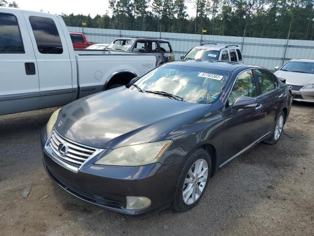 JTHBK1EG1A2343919 - 2010 LEXUS ES 350 GRAY photo 2