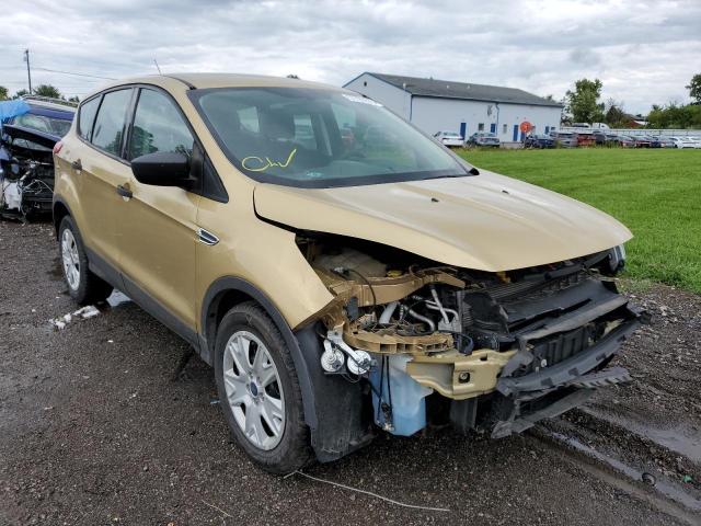 1FMCU0F7XEUB97387 - 2014 FORD ESCAPE GOLD photo 1