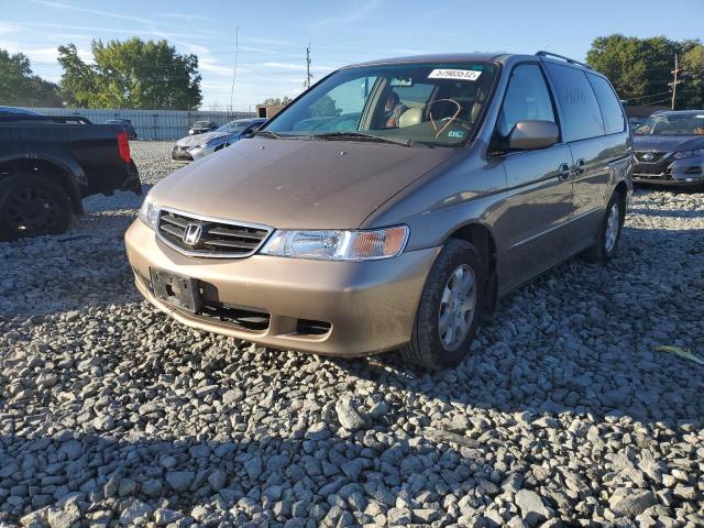 5FNRL18943B130005 - 2003 HONDA ODYSSEY EX GOLD photo 2