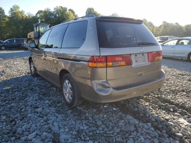 5FNRL18943B130005 - 2003 HONDA ODYSSEY EX GOLD photo 3