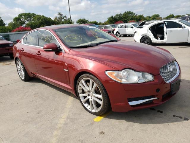 SAJWA0GB9ALR56609 - 2010 JAGUAR XF PREMIUM MAROON photo 1