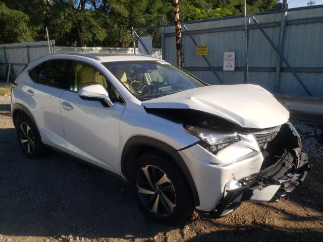 JTJBARBZ9J2161908 - 2018 LEXUS NX 300 BAS 白色 照片 1