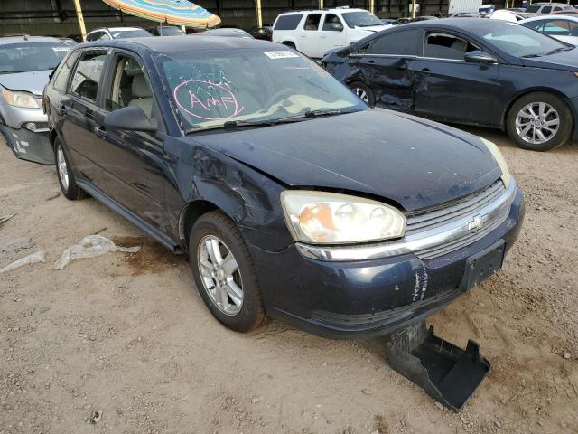 1G1ZT64885F296626 - 2005 CHEVROLET MALIBU MAX შავი ფოტო 1