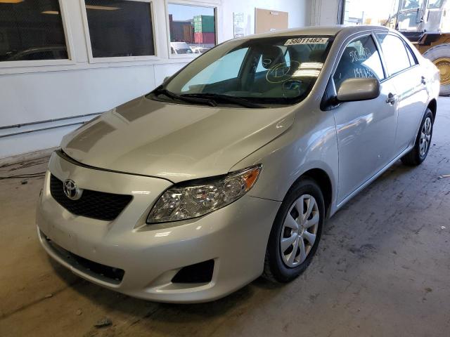 1NXBU4EE8AZ222221 - 2010 TOYOTA COROLLA BASE  photo 2