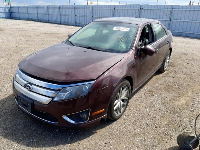 3FAHP0JA3CR412817 - 2012 FORD FUSION SEL MAROON photo 2