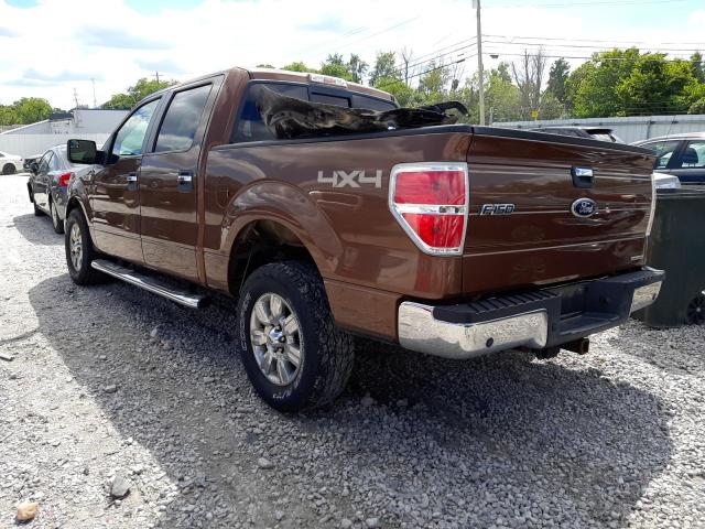 1FTFW1EF8BFC88135 - 2011 FORD F150 SUPER BROWN photo 3