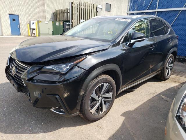 JTJBARBZ0J2151381 - 2018 LEXUS NX 300 BAS 黑色 照片 2