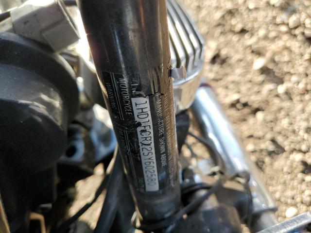 1HD1FCR12SY602580 - 1995 HARLEY-DAVIDSON FLHTCUI 双色 照片 10