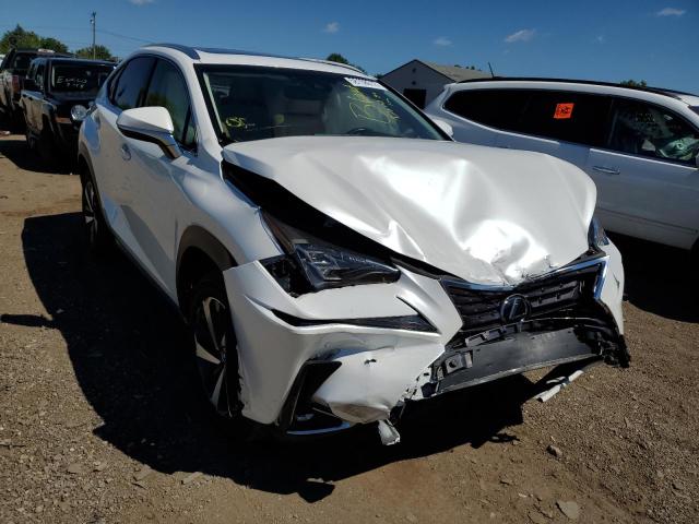 JTJBARBZ3K2183369 - 2019 LEXUS NX 300 BAS 白色 照片 1