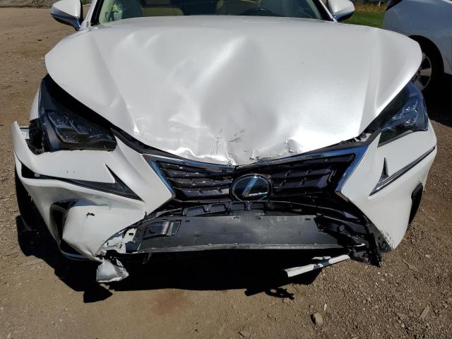 JTJBARBZ3K2183369 - 2019 LEXUS NX 300 BAS 白色 照片 7