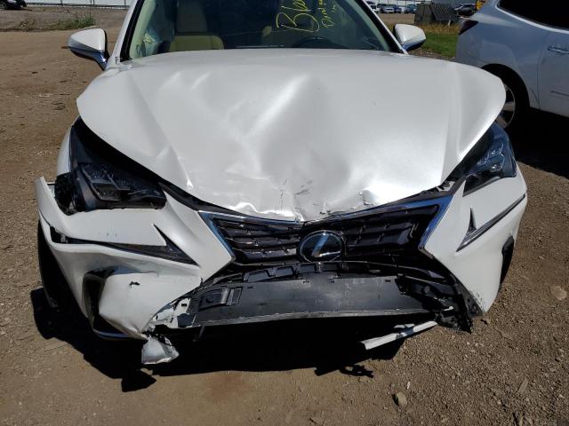 JTJBARBZ3K2183369 - 2019 LEXUS NX 300 BAS 白色 照片 9