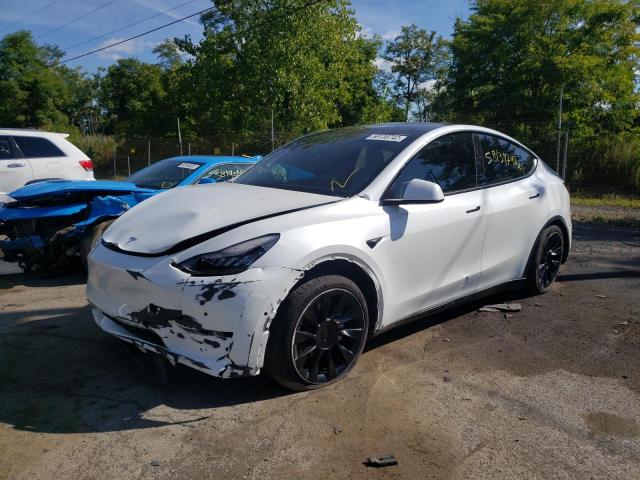 5YJYGDEE5MF075875 - 2021 TESLA MODEL Y أبيض صورة 2