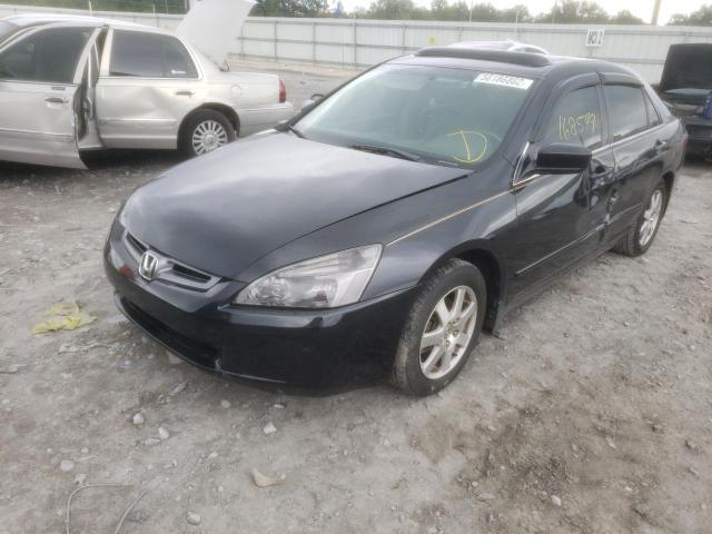 1HGCM66565A008968 - 2005 HONDA ACCORD EX  photo 2