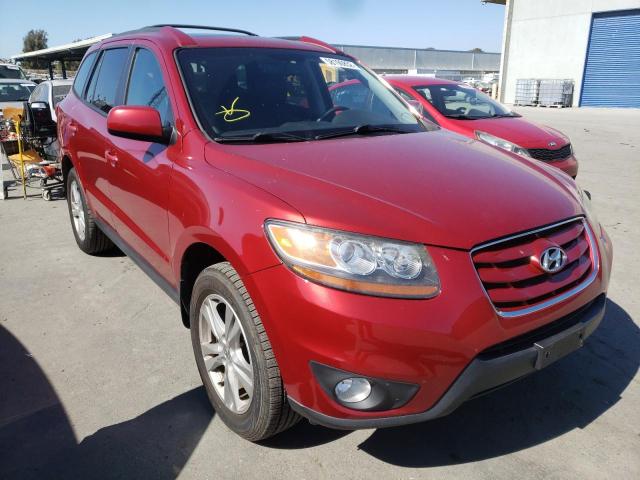 5XYZHDAG1BG007264 - 2011 HYUNDAI SANTA FE RED photo 1