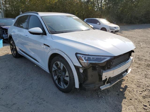 WA1AAAGE7MB007895 - 2021 AUDI E-TRON PRE WHITE photo 1